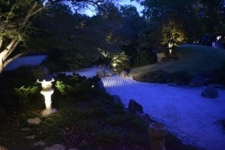 Japanese garden at night