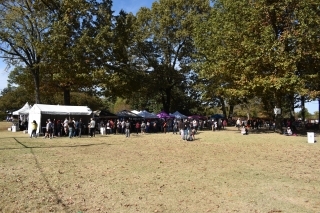 Vendors