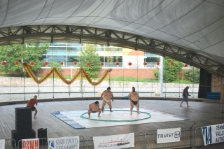 Sumo